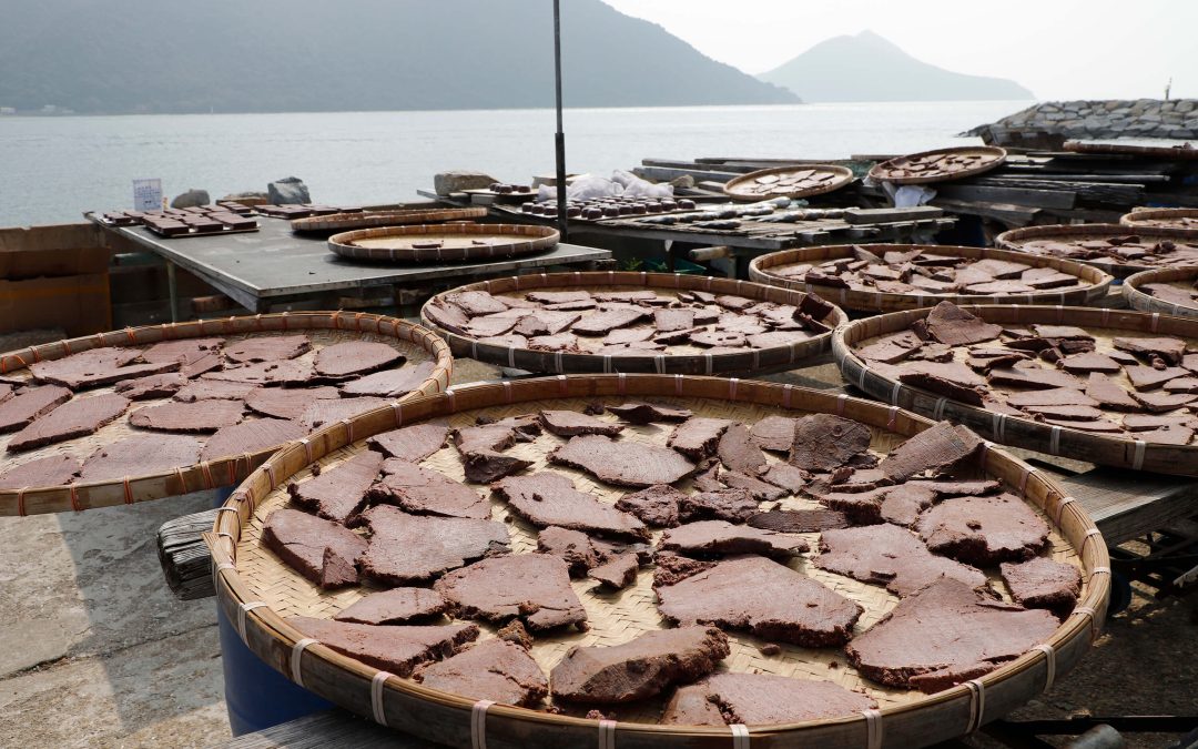 Tai O Fishing Village